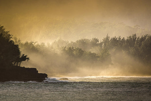 Seasonal Landscape - Middles Creative
