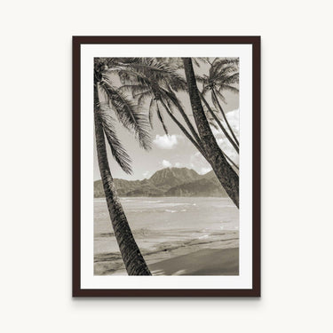 Monochrome Coconut - fine art adventure photography print from Natalie Nishioka - available at Middles Creative