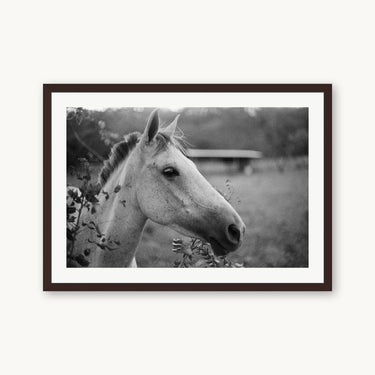 Cabello - fine art adventure photography print from Adam Sherrett - available at Middles Creative