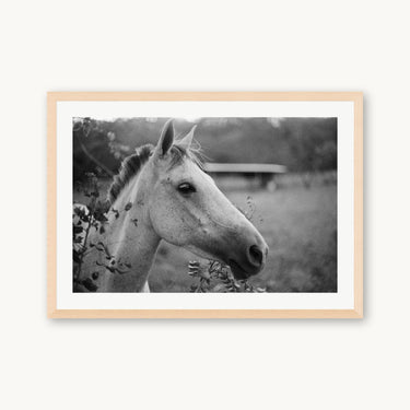 Cabello - fine art adventure photography print from Adam Sherrett - available at Middles Creative