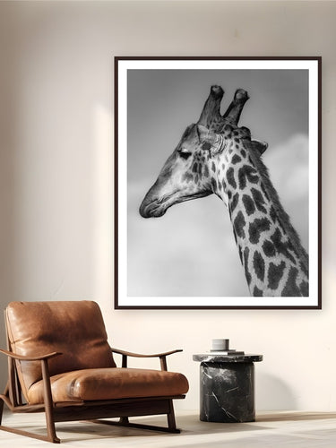 Head in the Clouds by Alex Wood from Sabi Sands Game Reserve, South Africa - framed black frame fine art photography displayed in a reading nook setting
