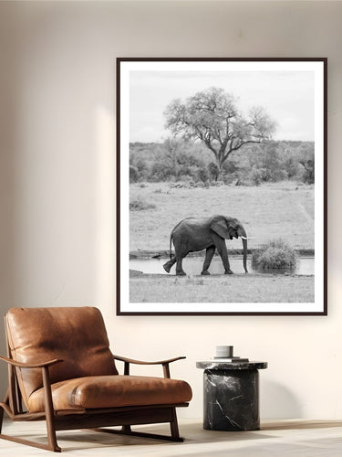 Watering Hole by Alex Wood from Sabi Sands Game Reserve, South Africa - framed black frame fine art photography displayed in a reading nook setting