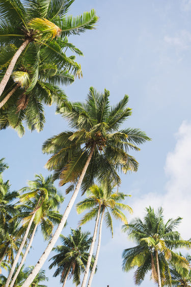 Reaching - fine art adventure photography print from Ben Gamlin - available at Middles Creative