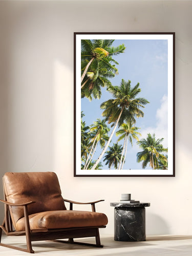 Black wood frame fine art print of Reaching by Ben Gamlin, Mentawai Islands, Sumatra, Indonesia, displayed on a reading nook wall — looking up through the palms of the Mentawai Islands, off Sumatra's west coast.