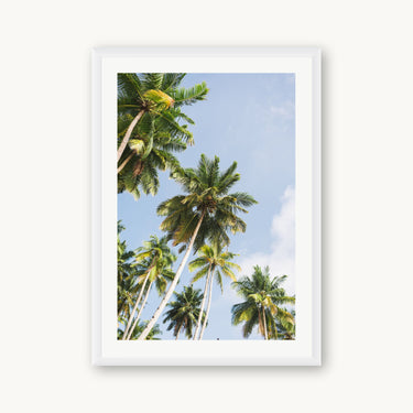 Reaching - fine art adventure photography print from Ben Gamlin - available at Middles Creative