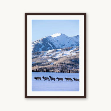 Elk Crossing - fine art adventure photography print from Sam Ferguson - available at Middles Creative