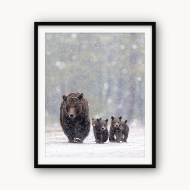 Footsteps in the Flurry - fine art adventure photography print from Tom Ingram - available at Middles Creative