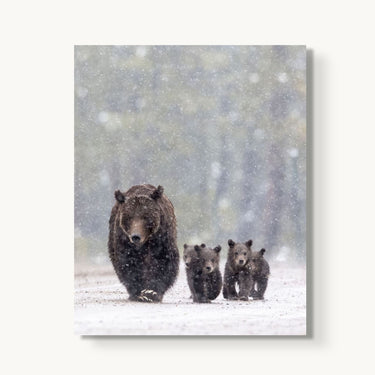 Footsteps in the Flurry - fine art adventure photography print from Tom Ingram - available at Middles Creative