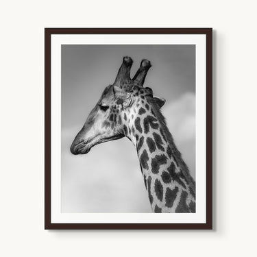 Head in the Clouds - fine art adventure photography print from Alex Wood - available at Middles Creative