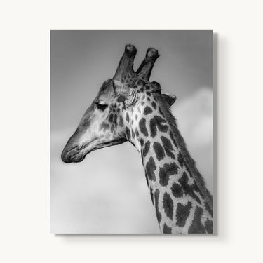 Head in the Clouds - fine art adventure photography print from Alex Wood - available at Middles Creative