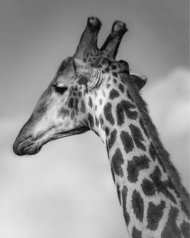 Head in the Clouds - fine art adventure photography print from Alex Wood - available at Middles Creative