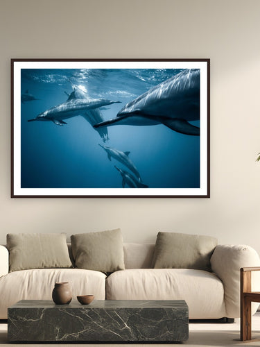 Spotted by Jeremy Bishop from Kona, Hawai‘i - framed black frame fine art photography displayed in a modern living room setting