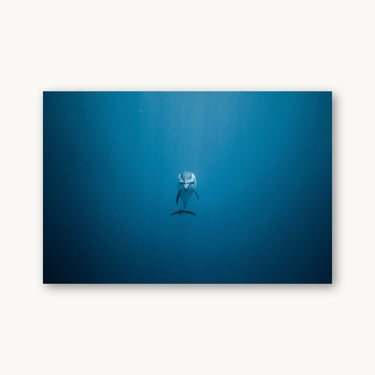 You're Not Alone - fine art adventure photography print from Jeremy Bishop - available at Middles Creative