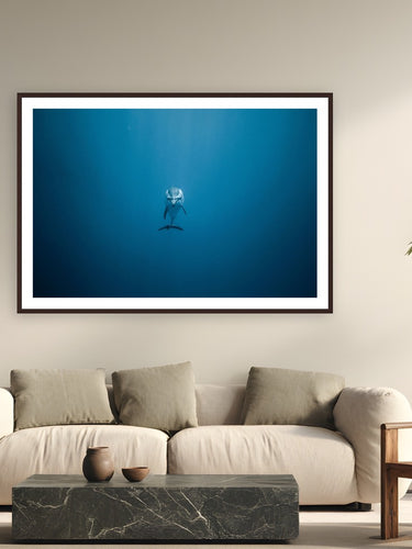 You're Not Alone by Jeremy Bishop from Kona, Hawai'i - framed black frame fine art photography displayed in a modern living room setting