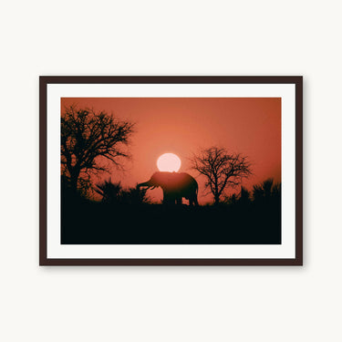 Kalahari Sunrise - fine art adventure photography print from Max Dickson - available at Middles Creative