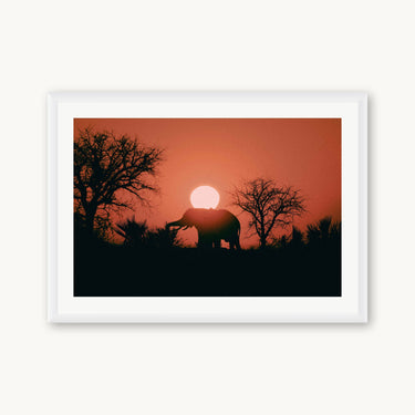 Kalahari Sunrise - fine art adventure photography print from Max Dickson - available at Middles Creative