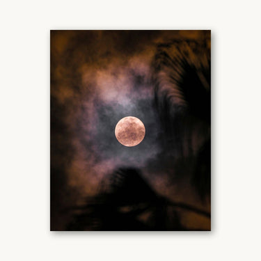 Look Up - fine art adventure photography print from Alex Wood - available at Middles Creative