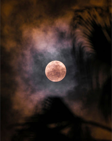 Look Up - fine art adventure photography print from Alex Wood - available at Middles Creative