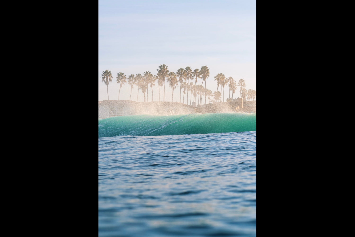 Hero - Palm Trees and Sea Spray