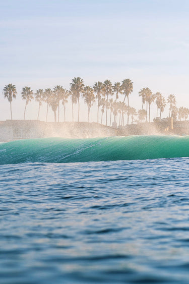 Palm Trees and Sea Spray - fine art adventure photography print from Luis Ortega - available at Middles Creative