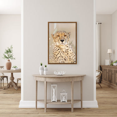 Majestic Cheetah - fine art adventure photography print from Tom Ingram - available at Middles Creative