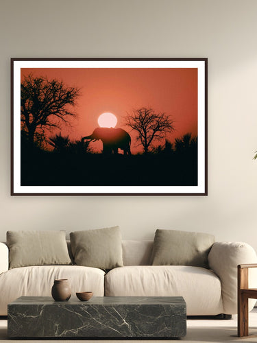 Kalahari Sunrise by Max Dickson from Kalahari Desert, Botswana - framed black frame fine art photography displayed in a modern living room setting