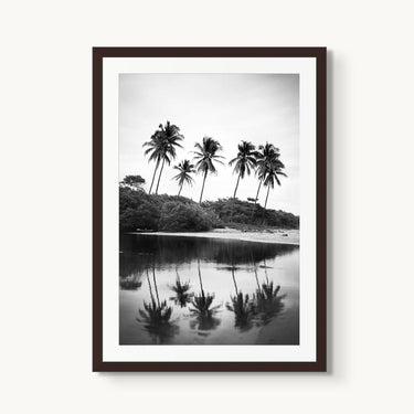 Nosara Palms - fine art adventure photography print from Devon Cardamone - available at Middles Creative