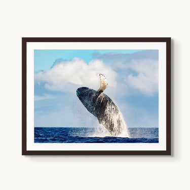 Ocean Acrobat - fine art adventure photography print from Tom Ingram - available at Middles Creative