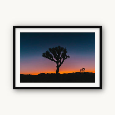 Psychedelic Joshua Tree - fine art adventure photography print from Bree Banning - available at Middles Creative