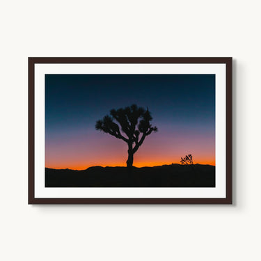 Psychedelic Joshua Tree - fine art adventure photography print from Bree Banning - available at Middles Creative
