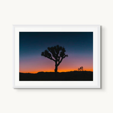 Psychedelic Joshua Tree - fine art adventure photography print from Bree Banning - available at Middles Creative