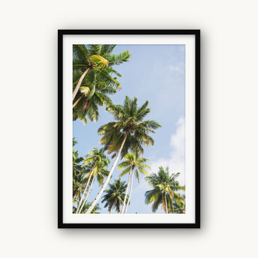 Reaching - fine art adventure photography print from Ben Gamlin - available at Middles Creative