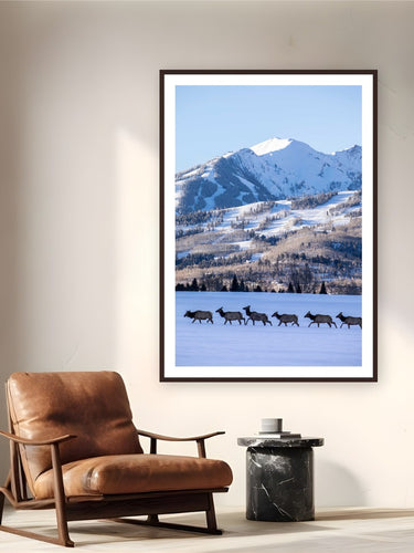 Elk Crossing by Sam Ferguson from Aspen Highlands, Colorado - framed black frame fine art photography displayed in a reading nook setting