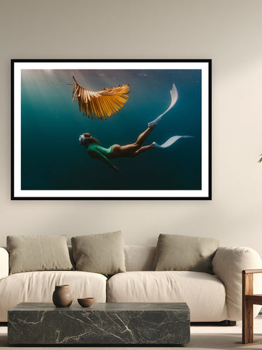 Black wood frame fine art print of Yellow Palm by Sarah Swan, St. John, USVI, displayed on a modern living room wall — a dead palm frond from Sarah's yard became the unexpected star of a freediving session in St. John.