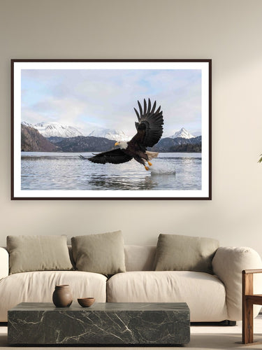 Bald Eagle by Tom Ingram from Homer, Alaska - framed black frame fine art photography displayed in a modern living room setting