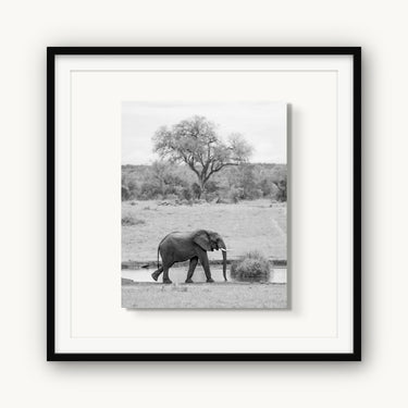 Watering Hole - fine art adventure photography print from Alex Wood - available at Middles Creative