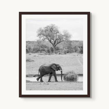 Watering Hole - fine art adventure photography print from Alex Wood - available at Middles Creative