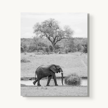 Watering Hole - fine art adventure photography print from Alex Wood - available at Middles Creative