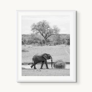 Watering Hole - fine art adventure photography print from Alex Wood - available at Middles Creative