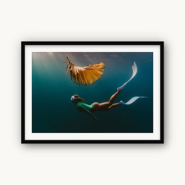 Yellow Palm - fine art adventure photography print from Sarah Swan - available at Middles Creative