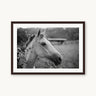 Cabello - fine art adventure photography print from Adam Sherrett - available at Middles Creative