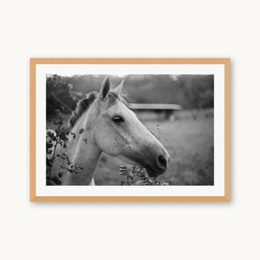 Cabello - fine art adventure photography print from Adam Sherrett - available at Middles Creative