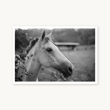 Cabello - fine art adventure photography print from Adam Sherrett - available at Middles Creative