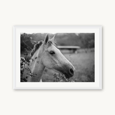 Cabello - fine art adventure photography print from Adam Sherrett - available at Middles Creative