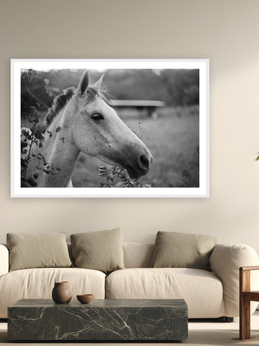 Cabello by Adam Sherrett from Playa Maderas, Nicaragua - white frame fine art photography displayed in a modern living room setting