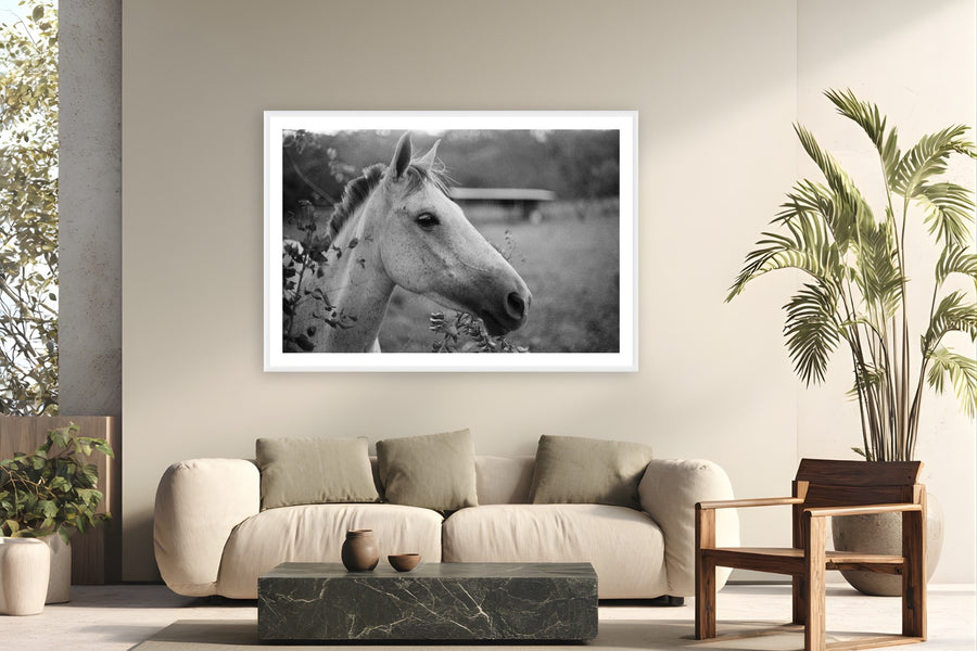 Cabello by Adam Sherrett from Playa Maderas, Nicaragua - white frame fine art photography displayed in a modern living room setting