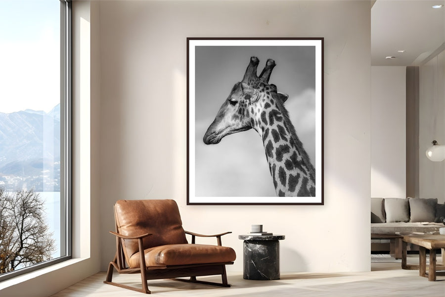 Head in the Clouds by Alex Wood from Sabi Sands Game Reserve, South Africa - framed black frame fine art photography displayed in a reading nook setting
