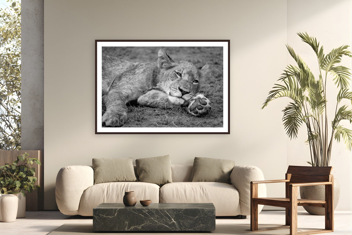 Take Paws by Alex Wood from Sabi Sands Game Reserve, South Africa - framed black frame fine art photography displayed in a modern living room setting