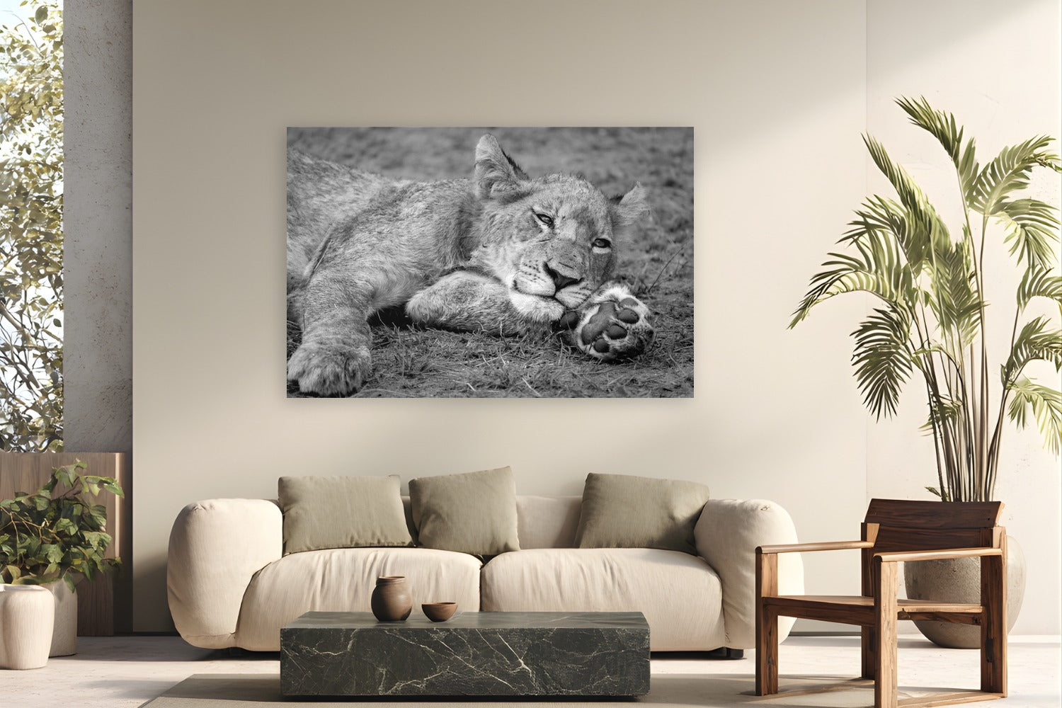 Take Paws by Alex Wood from Sabi Sands Game Reserve, South Africa - metal print fine art photography displayed in a modern living room setting