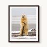Arctic Pole Dancer - fine art adventure photography print from Tom Ingram - available at Middles Creative